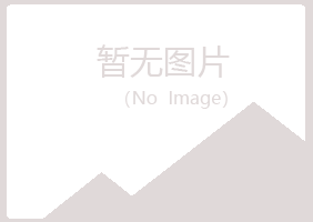 宁夏沉沦化学有限公司